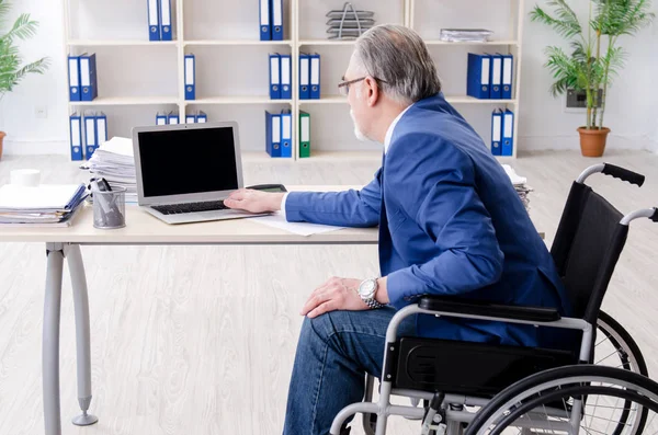 У віці працівник в інвалідному візку працює в офісі — стокове фото