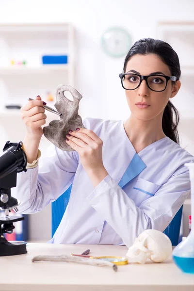 Jonge vrouwelijke archeoloog werkzaam in het lab — Stockfoto