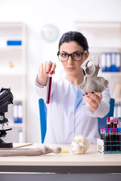 Ung kvinnlig arkeolog som arbetar i labbet — Stockfoto