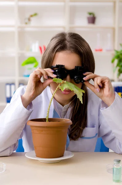 Jeune belle chimiste en biotechnologie travaillant dans le laboratoire — Photo