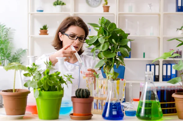 Anciana química biotecnológica que trabaja en el laboratorio — Foto de Stock