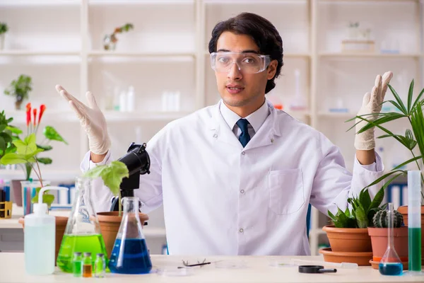 Químico biotecnológico trabajando en laboratorio —  Fotos de Stock