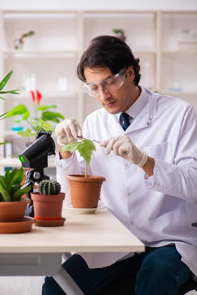 Chimiste en biotechnologie travaillant en laboratoire — Photo