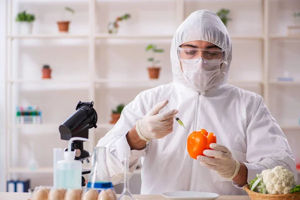 Wissenschaftler arbeiten im Labor an gentechnisch verändertem Obst und Gemüse — Stockfoto