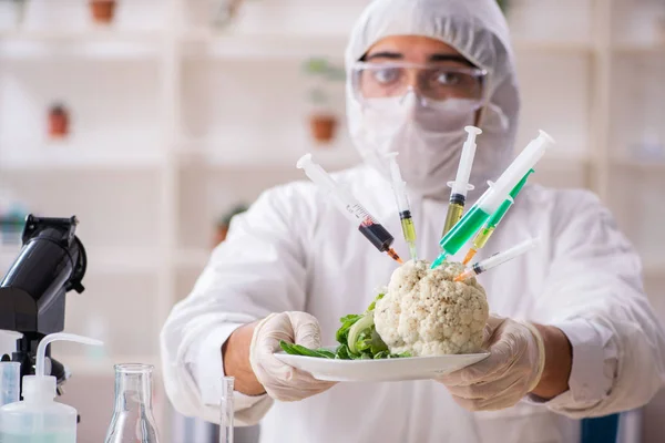 Scienziato che lavora in laboratorio sugli OGM frutta e verdura — Foto Stock
