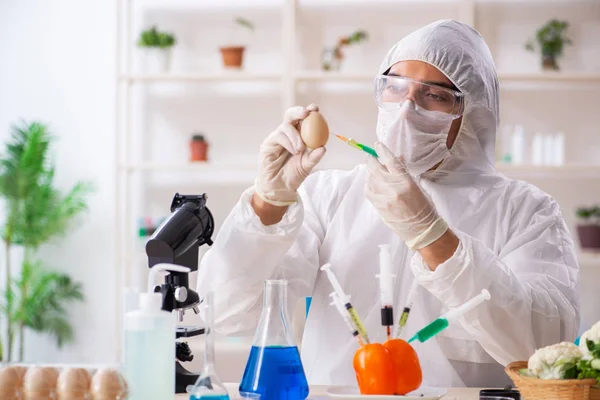 Wetenschapper in lab over GGO-groenten en -fruit — Stockfoto