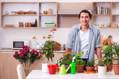 Genç yakışıklı adam evde çiçek yetiştiriyor.