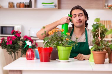 Genç yakışıklı adam evde çiçek yetiştiriyor.