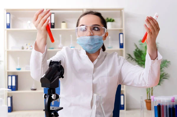 Jonge vrouwelijke chemicus werkzaam in het lab — Stockfoto