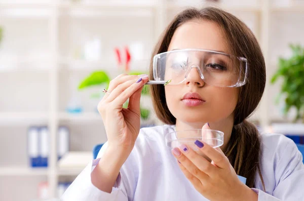 Joven química biotecnológica hermosa trabajando en el laboratorio —  Fotos de Stock