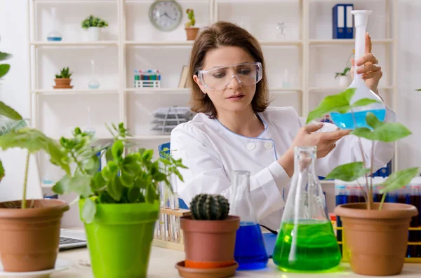 Vecchia chimica biotecnologica femminile che lavora in laboratorio — Foto Stock