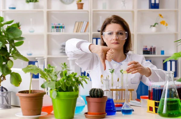 Mulher velha biotecnologia química que trabalha no laboratório — Fotografia de Stock