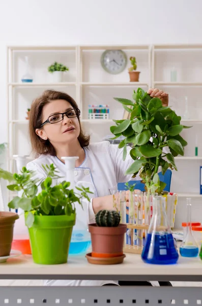 Mulher velha biotecnologia química que trabalha no laboratório — Fotografia de Stock