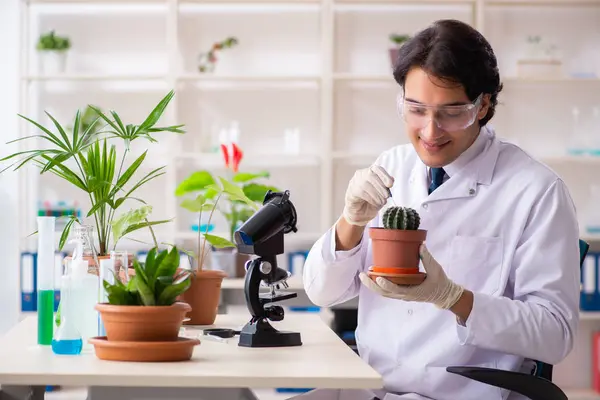 Chimico biotecnologico che lavora in laboratorio — Foto Stock