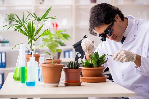 Chimiste en biotechnologie travaillant en laboratoire — Photo