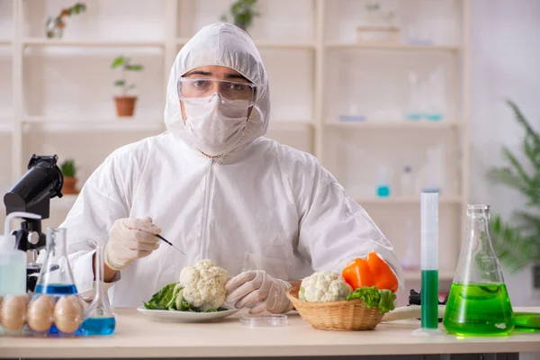 Científico trabajando en laboratorio sobre frutas y verduras transgénicas — Foto de Stock