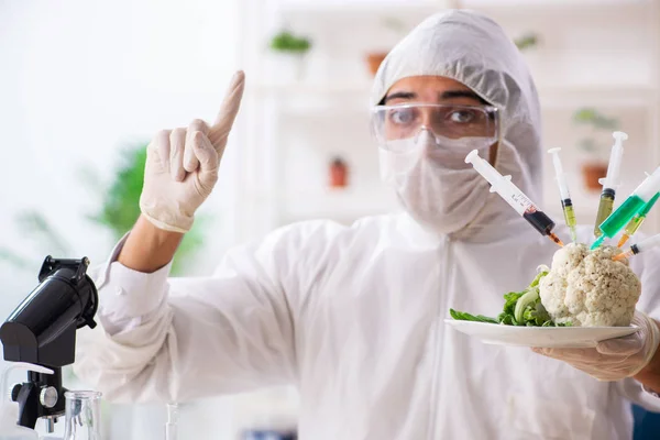 Wetenschapper in lab over GGO-groenten en -fruit — Stockfoto