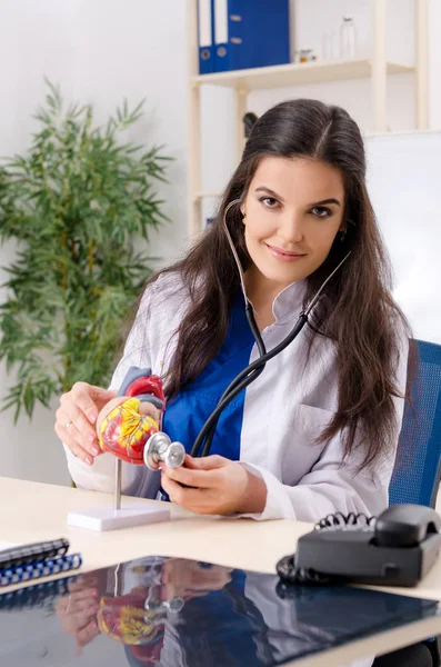 Kvinnlig doktor Kardiolog som arbetar på kliniken — Stockfoto