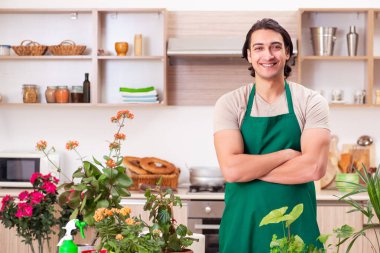 Genç yakışıklı adam evde çiçek yetiştiriyor.