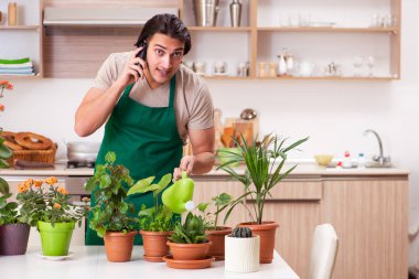 Genç yakışıklı adam evde çiçek yetiştiriyor.