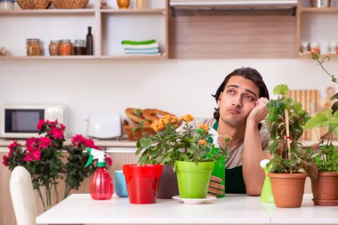 Genç yakışıklı adam evde çiçek yetiştiriyor.