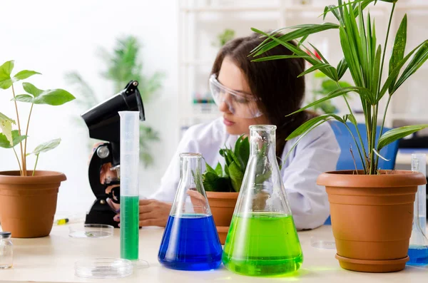 Ung vacker bioteknisk kemist som arbetar i labbet — Stockfoto