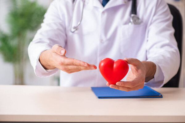 Мужчина-кардиолог держит модель сердца
 