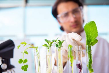 Laboratuarda çalışan erkek biyoteknoloji bilim adamı kimyacı