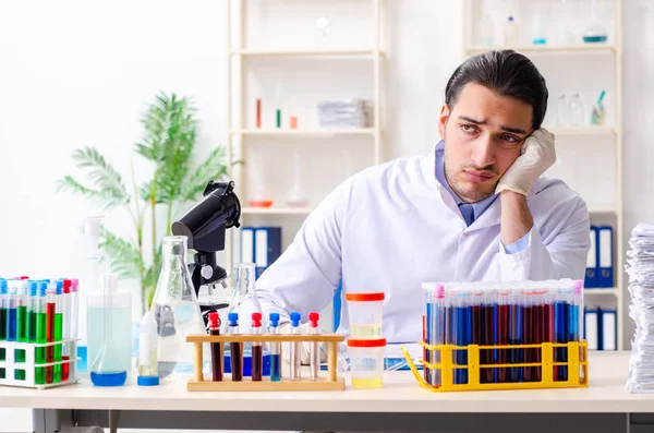 Młody chemik pracujący w laboratorium — Zdjęcie stockowe