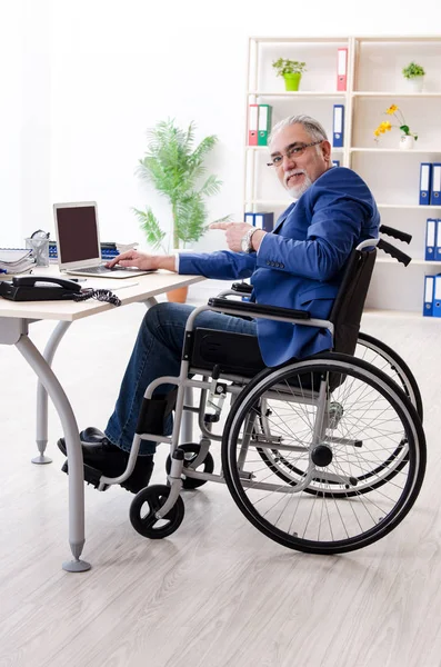 在办公室工作的轮椅上的老年雇员 — 图库照片
