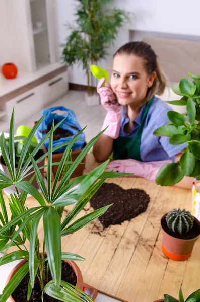 Perempuan muda tukang kebun dengan tanaman di dalam ruangan — Stok Foto