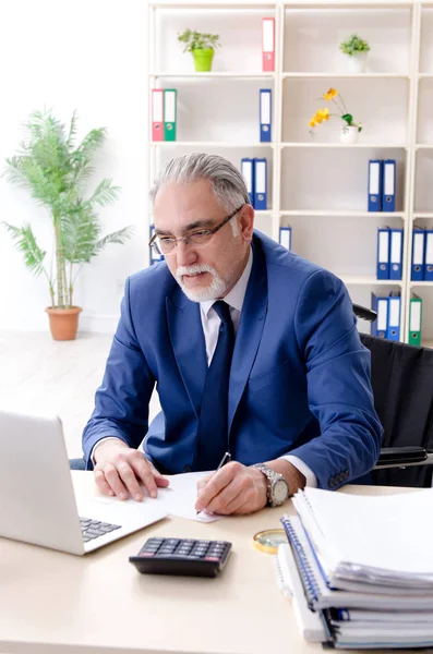 Pracownik w wieku na wózku inwalidzkim pracujący w biurze — Zdjęcie stockowe