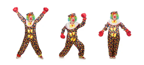 Clown mit Boxhandschuhen isoliert auf weiß — Stockfoto