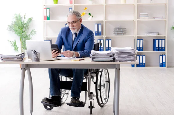 Leeftijd werknemer in rolstoel werken in het kantoor — Stockfoto