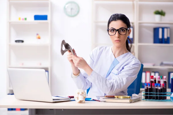 Jonge vrouwelijke archeoloog werkzaam in het lab — Stockfoto