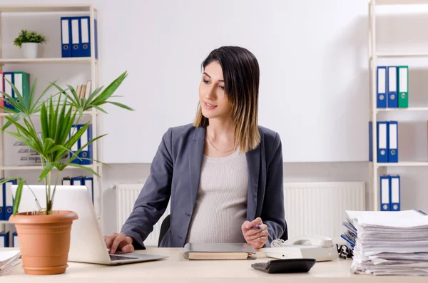 Giovane lavoratrice incinta che lavora in ufficio — Foto Stock