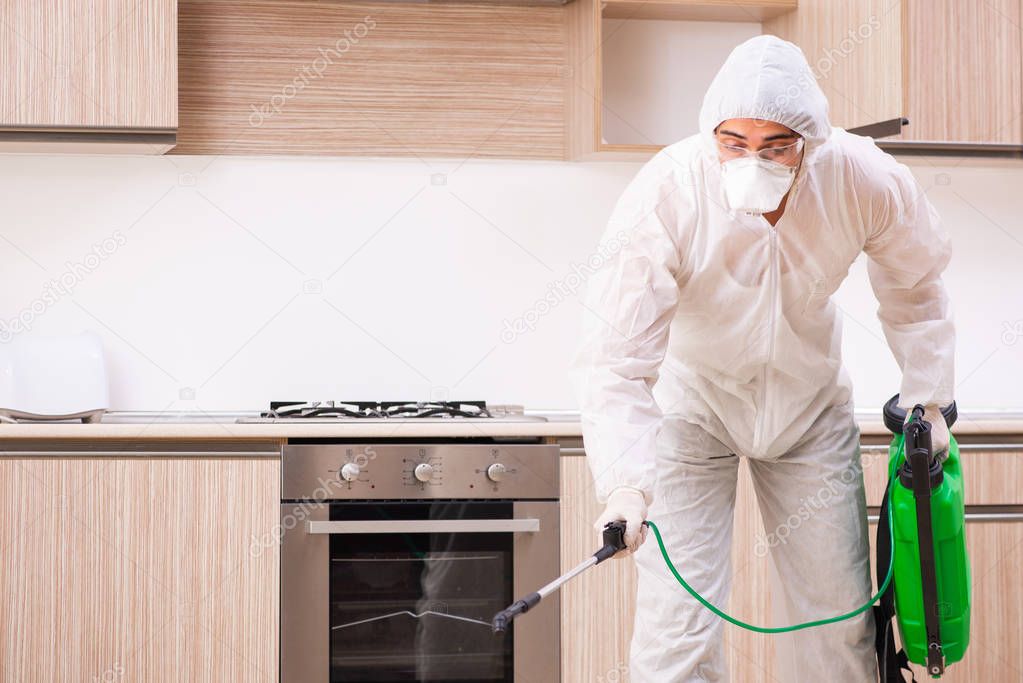 Professional contractor doing pest control at kitchen