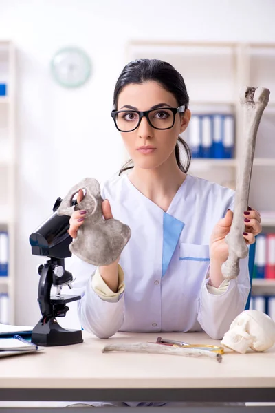 Giovane archeologa donna che lavora in laboratorio — Foto Stock