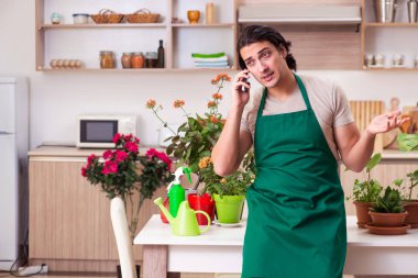 Genç yakışıklı adam evde çiçek yetiştiriyor.