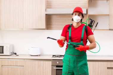 Professional contractor doing pest control at kitchen clipart
