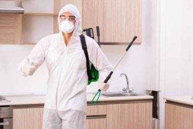 Profesyonel yüklenici mutfak at haşere kontrolü yapıyor