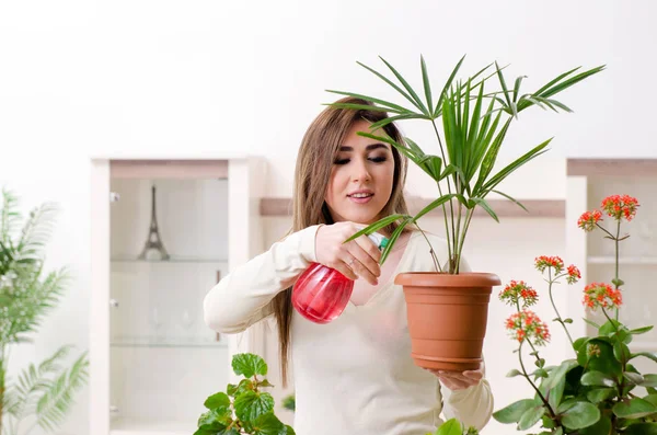 Joven jardinero femenino con plantas en el interior —  Fotos de Stock