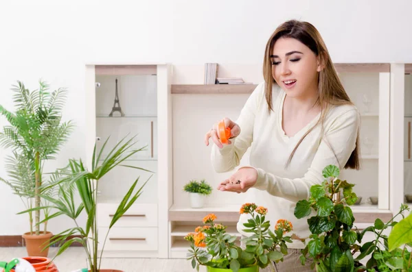 Jonge vrouwelijke tuinman met planten binnen — Stockfoto