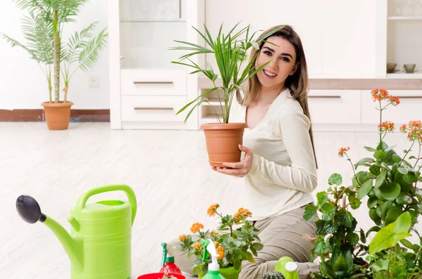 Perempuan muda tukang kebun dengan tanaman di dalam ruangan — Stok Foto