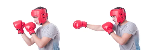 Смешной боксер изолирован на белом фоне — стоковое фото