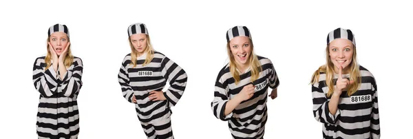 Lustiger Gefängnisinsasse im Konzept — Stockfoto