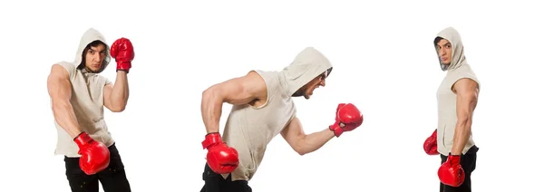 Concepto de boxeo con joven deportista — Foto de Stock