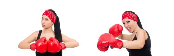 Kobieta bokser izolowany na białym — Zdjęcie stockowe