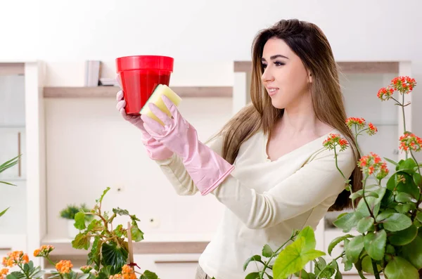 Młoda kobieta ogrodnik z roślin w pomieszczeniach — Zdjęcie stockowe