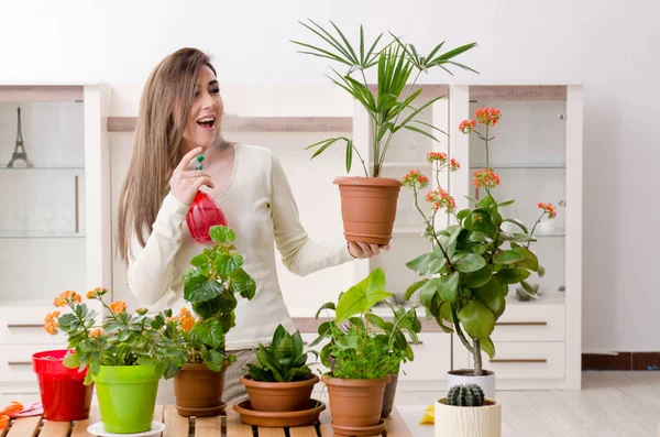 Young female gardener with plants indoors — Stock Photo, Image